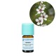 Manuka